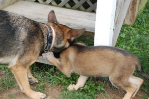 raina with jordis mouth