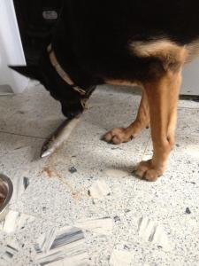 299614_10152442686160038_1152352041_n