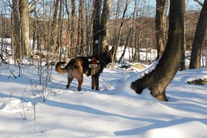 Sören checking the wind
