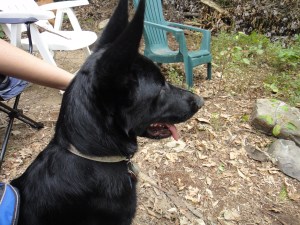 Eme watching the fire burn