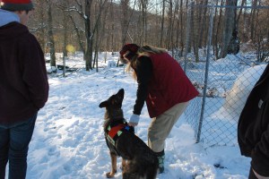 Ready to work on command