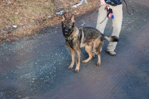 waiting for game to begin again