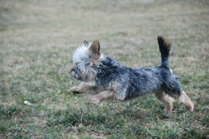 kaizy mid run (2)