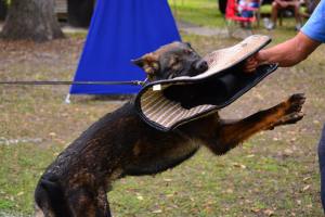 10011788_10203375244205257_865735518_o