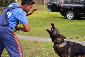 1622544_10203375244085254_1725821394_o