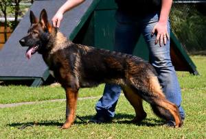 1980187_10203333103231759_900102951_o