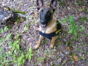 Ready to start her search work