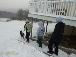 december winter dogs-10