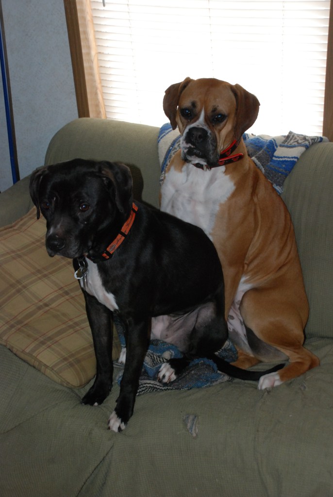 Olive and Kendal being silly