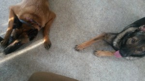 Annecy and Soren practicing "off" 