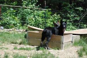 Emeline and Raina play chase