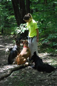 Another pack shot of focus