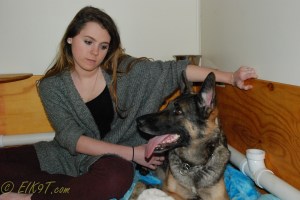 raina puppies (6 of 51)