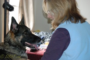 raina puppies (8 of 51)