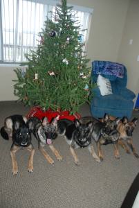 10830845_10155019148950038_8715231524027242462_o