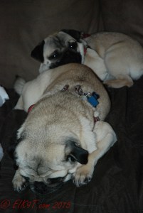 jan around house (12 of 21)