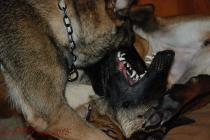 jan around house (18 of 21)