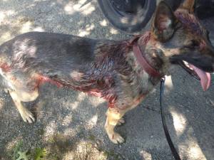 1012166_613223422030913_1925042204_n