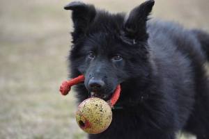 11027469_10206380332130577_3515449949260187803_n