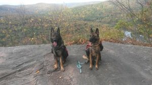 993823_10154761221915038_4253775132538250036_n