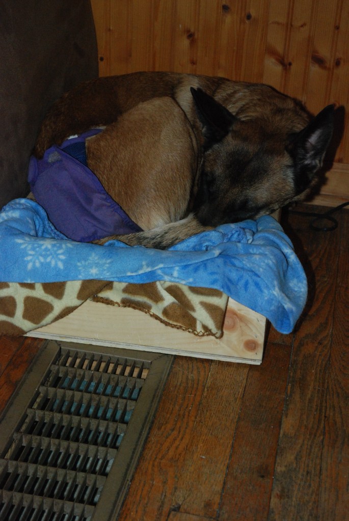 How do you fit in there Annecy?